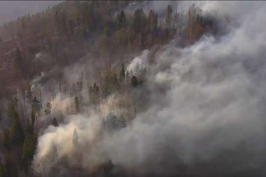 На Львівщині внаслідок пожежі вигоріло п’ять гектарів лісу
