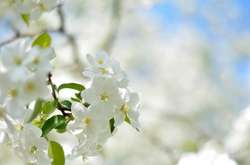 В Україні буде сонячно, на Півдні та Сході трохи похолодає