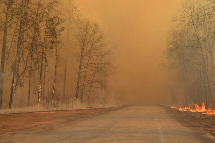 Збитки від пожежі у Чорнобильській зоні попередньо оцінюють у десятки мільйонів