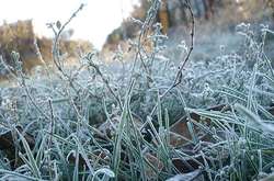 Вночі 14 квітня у східних областях заморозки на поверхні ґрунту 0-5°