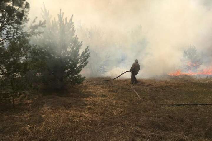 Пожежа, що триває тиждень: на Житомирщині затримали паліїв