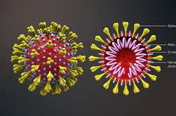 Небезпечний коронавірус: Covid-19 встиг мутувати в три різні штами