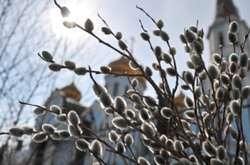 У Вербну неділю в Україні буде тепло та сонячно