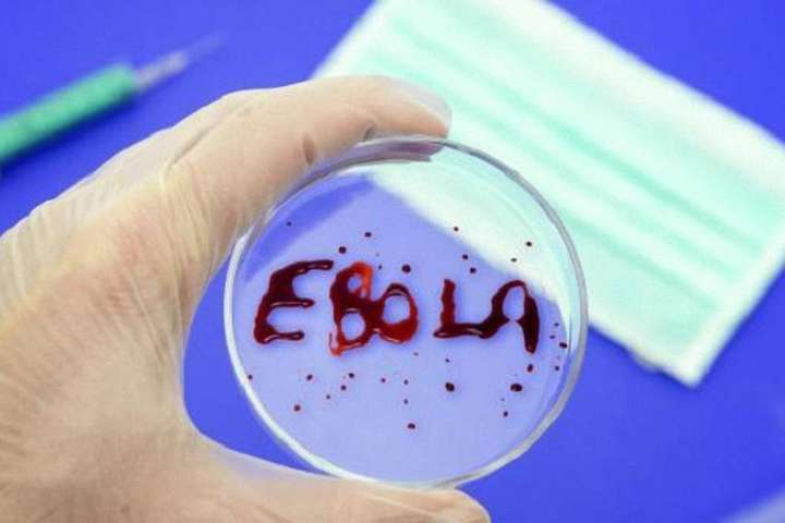 В Африку повернулася лихоманка Ебола