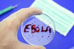 В Африку повернулася лихоманка Ебола
