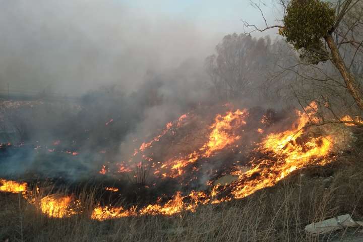 Цифри шокують: за тиждень на Київщині сталося 550 пожеж в екосистемах (фото)
