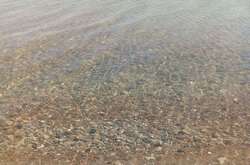 Последствия карантина: вода в Азовском море стала прозрачной (видео)