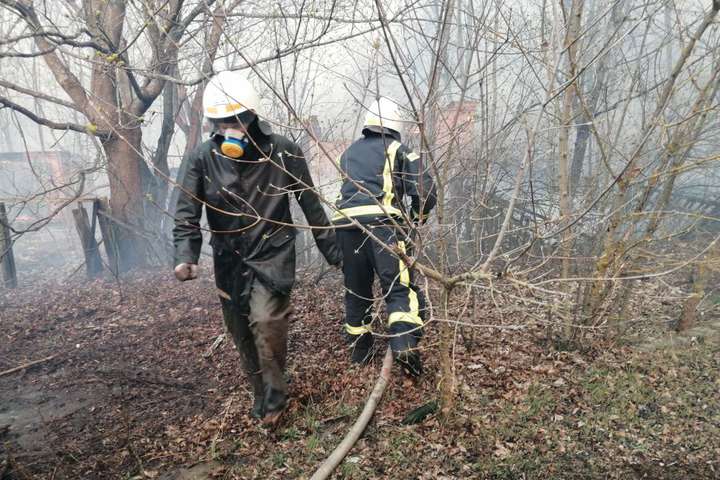 Чорнобильська зона у вогні: пожежі не вщухають у чотирьох лісництвах