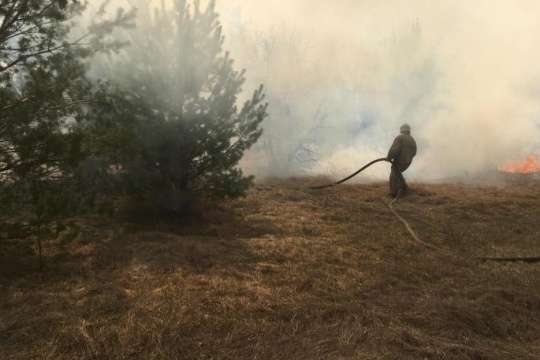 На Житомирщині рятувальники гасять лісові пожежі у двох районах