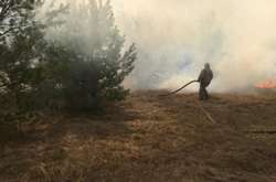 У Житомирській області з 10 квітня тривають лісові пожежі 