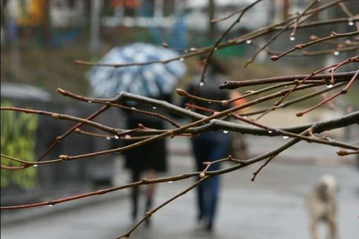 В Україну сьогодні повертаються дощі, похолодання та мокрий сніг