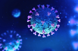 Коронавирус может выдержать длительное воздействие высокой температуры