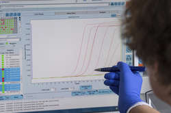 Специалисты ВОЗ считают, что пик коронавируса в мире наступит еще не скоро