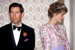 Эксперты назвали ключевые моменты, из-за которых распался брак принцессы Дианы и принца Чарльза