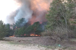Горіли ліси біля військових складів на Київщині: до гасіння залучали військових і авіацію (фото, відео) 