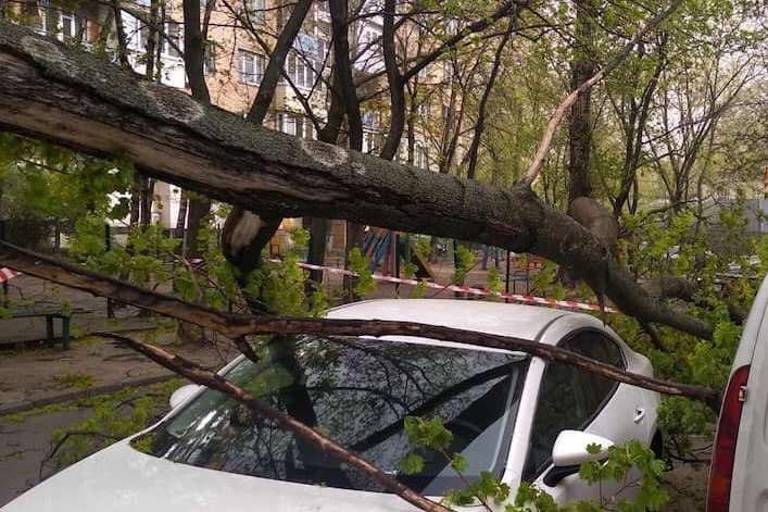Перші наслідки бурі в Києві: на людей полетіли гілки, антени, дошки (фото)