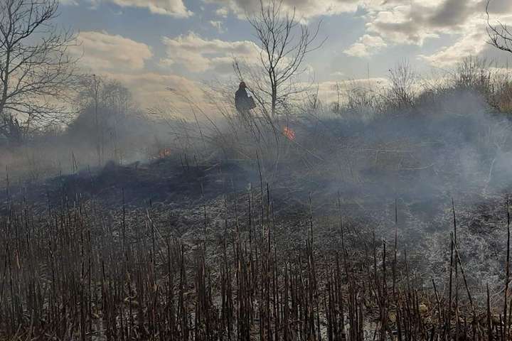 Пожежа у Чорнобильській зоні: у ДСНС підтвердили три нові осередки