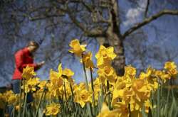 Сухо і тепло до +22: прогноз погоди в Україні на п'ятницю