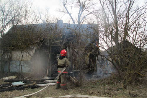 У Житомирській області вогонь з сухої трави перекинувся на будинки у селищі