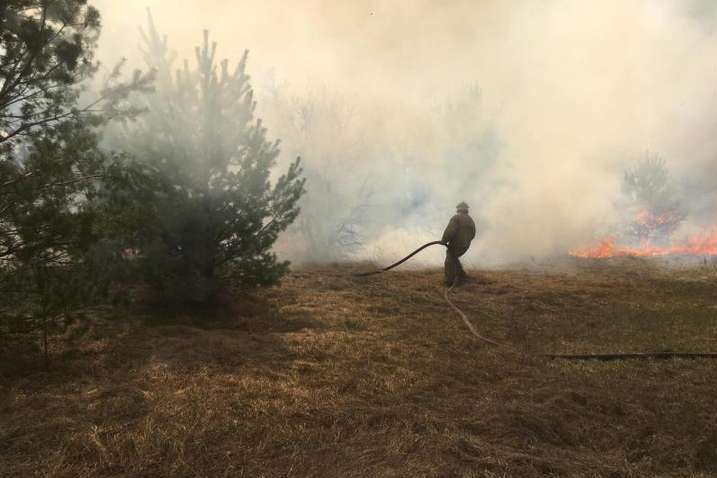 На Житомирщині розпочато кримінальне провадження за фактом пожеж в Овруцькому районі