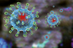 ВОЗ сообщила, где может возникнуть новый эпицентр коронавируса