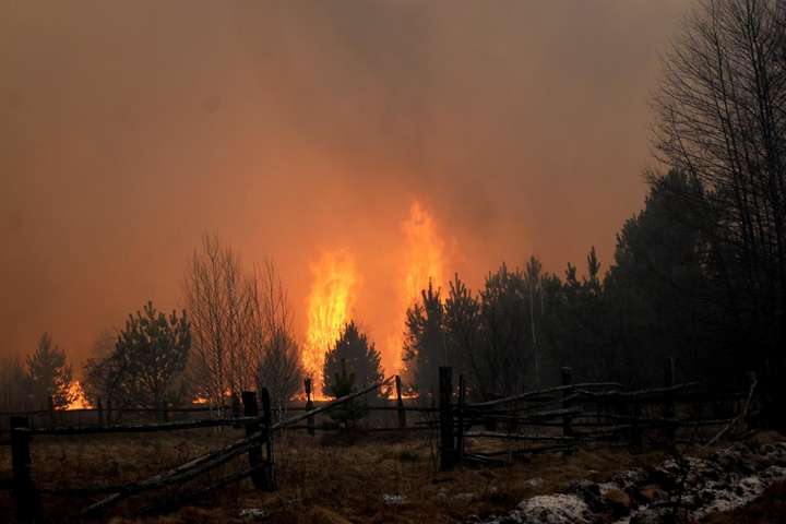 Масштабні лісові пожежі на Житомирщині: опубліковано фото з космосу