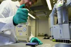 У МОЗ назвали області із найбільшим добовим приростом випадків Covid-19