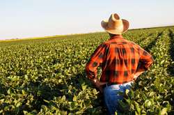 Фермери у США були змушені знищувати свою продукцію, яку не завжди можуть доставити вчасно через епідемію