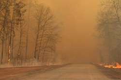 У Зоні відчуження спостерігається тління трав’яного настилу, пеньків та деревини в осередках пройдених вогнем