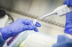 Лише у 10 відсотків громадян Ітапії виявили антитіла до коронавірусу