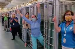 Співробітники і волонтери собачого притулку у Флориді радіють, що мешканці  забрали всіх тварин