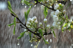 Березень став одним з найспекотніших в історії України