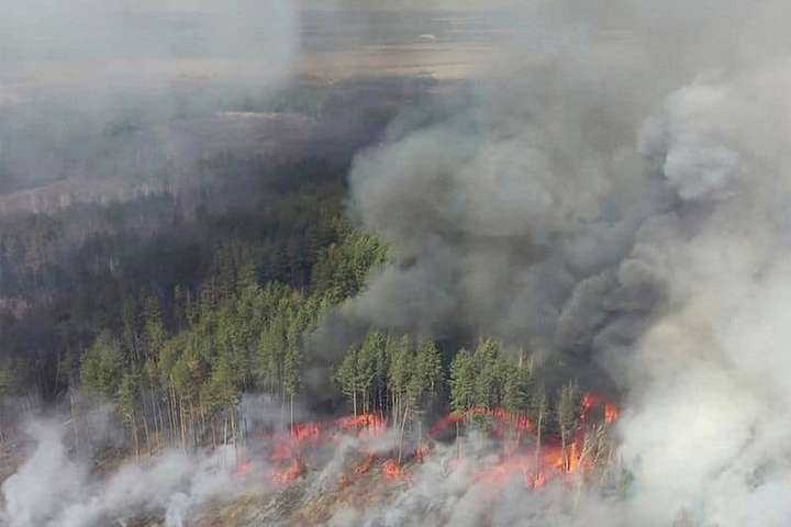 Лесные пожары на Житомирщине признаны самыми масштабными за 24 года