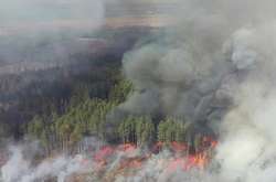 Лесные пожары в Житомирской области признаны самыми масштабными за 24 года