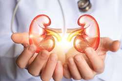 Cимптомы, которые указывают на то, что ваши почки нездоровы