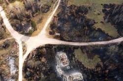 Держлісагентство: пожежі на Житомирщині стали найбільшими за 24 роки