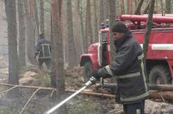 Ліквідація пожежі у лісах на Житомирщині