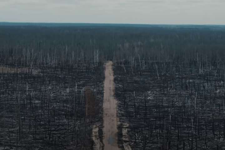 Абсолютний апокаліпсис: режисер показав наслідки пожеж у Чорнобильській зоні (відео)