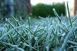 Синоптики попередили киян про сильні заморозки