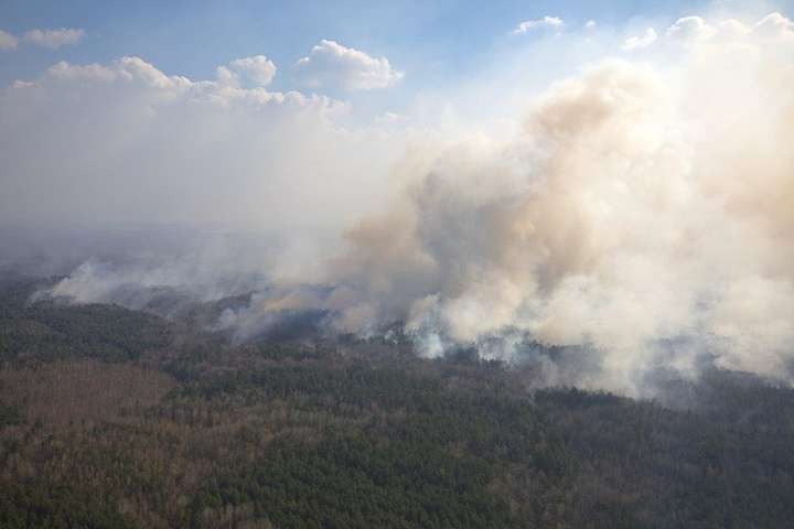 Пожежі на Житомирщині: причиною може бути пошкодження електродротів