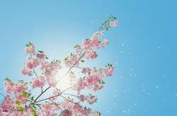 Штормовий вітер та 15 градусів тепла: прогноз погоди на 22 квітня