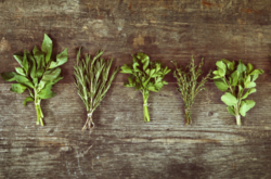 Пять трав, которые эффективно снижают высокое давление