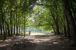 Медик розповіла, чому у Фінляндії дозволено виходити на прогулянки під час карантину