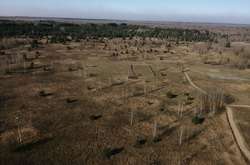 У Чорнобильській зоні горять торфовища