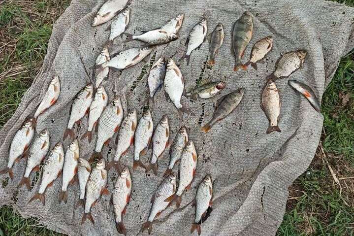 На Вінниччині затримали браконьєра, який ловив рибу сітками