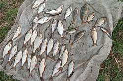 На Вінниччині затримали браконьєра, який ловив рибу сітками