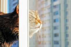 В Украину идет потепление