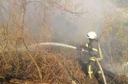  Рятувальники ліквідували займання трав’яного настилу та чагарників 