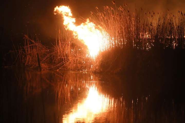 У Польщі пожежа охопила Бєбжанський національний парк