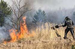 До гасіння залучено 14 вогнеборців